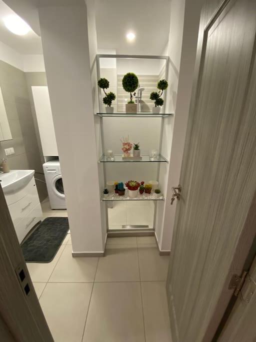 Cozy Central Apartment With 2 Rooms Bucharest Luaran gambar